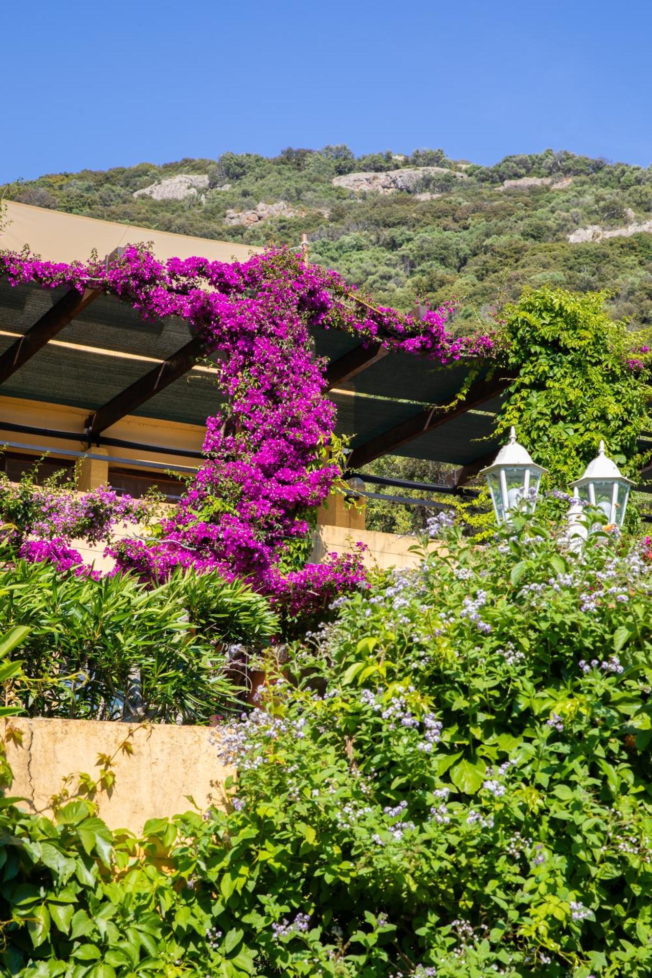 Residence Helios Cargese Exterior photo