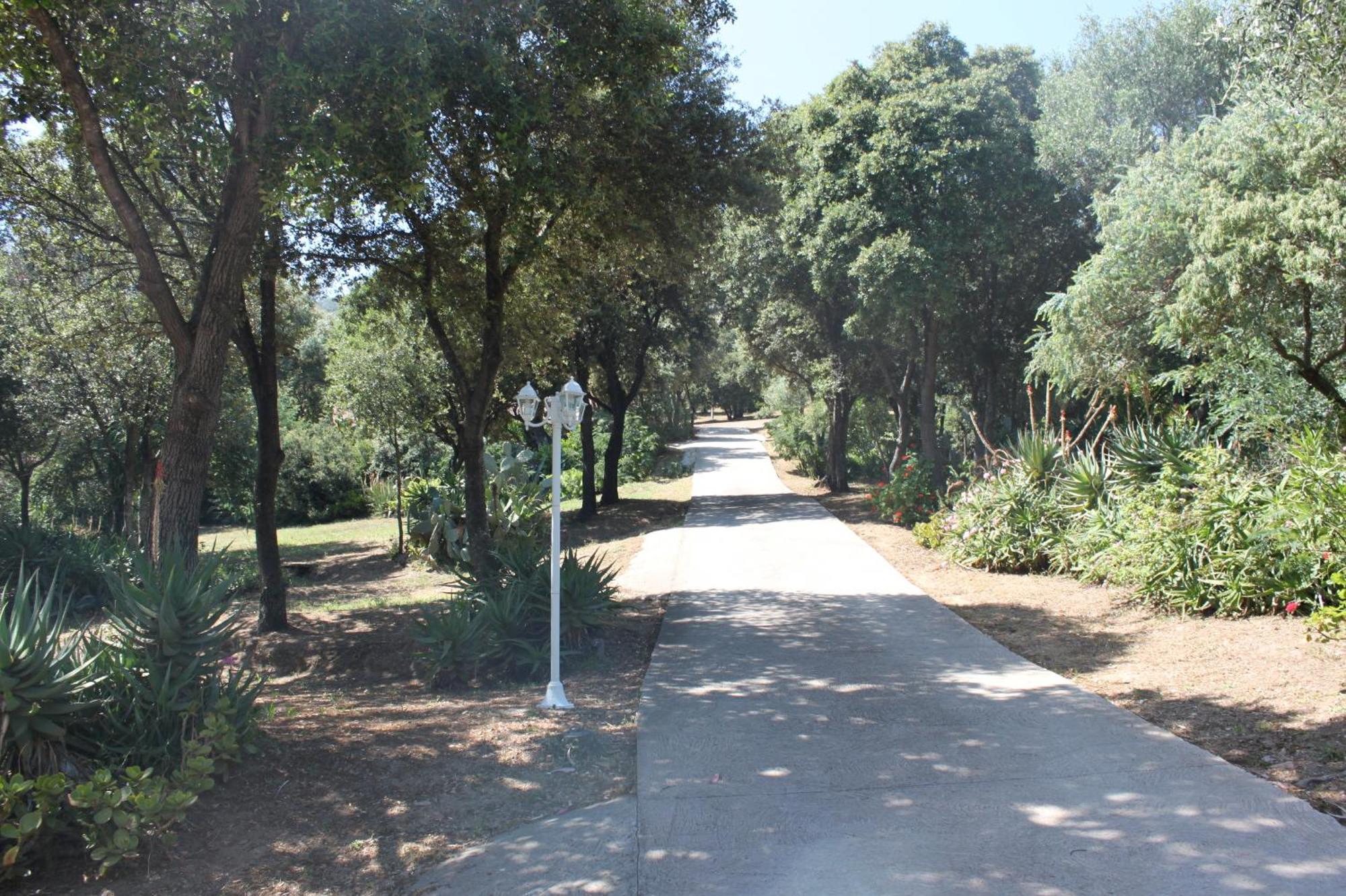 Residence Helios Cargese Exterior photo